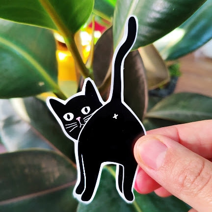 Sticker Cat. Random RANDOM cat sticker pack! – DARFISH
