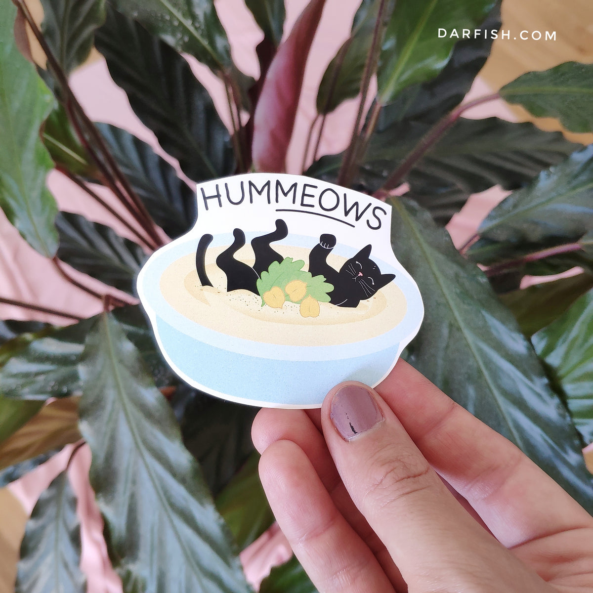 Hummeows Hummus cat Sticker – DARFISH