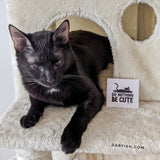 Be cute Do nothing Cat Sticker