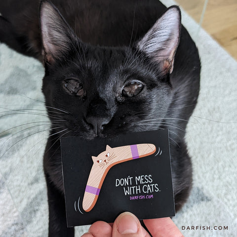 Don't mess with cats boomerang cat sticker